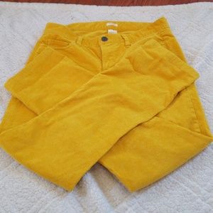Mustard yellow the Beatles pants